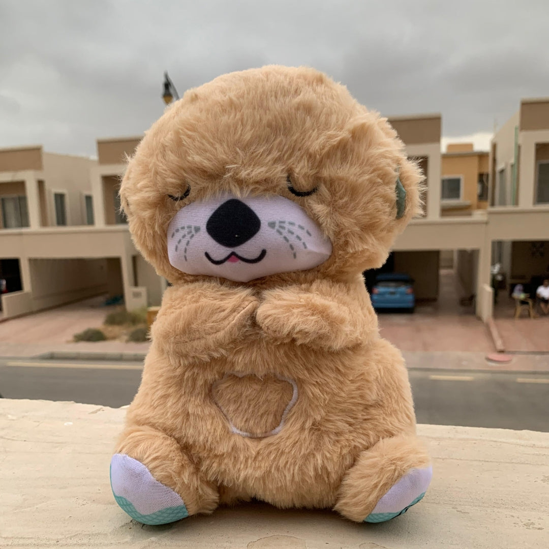 Breathing Teddy bear in Pakistan