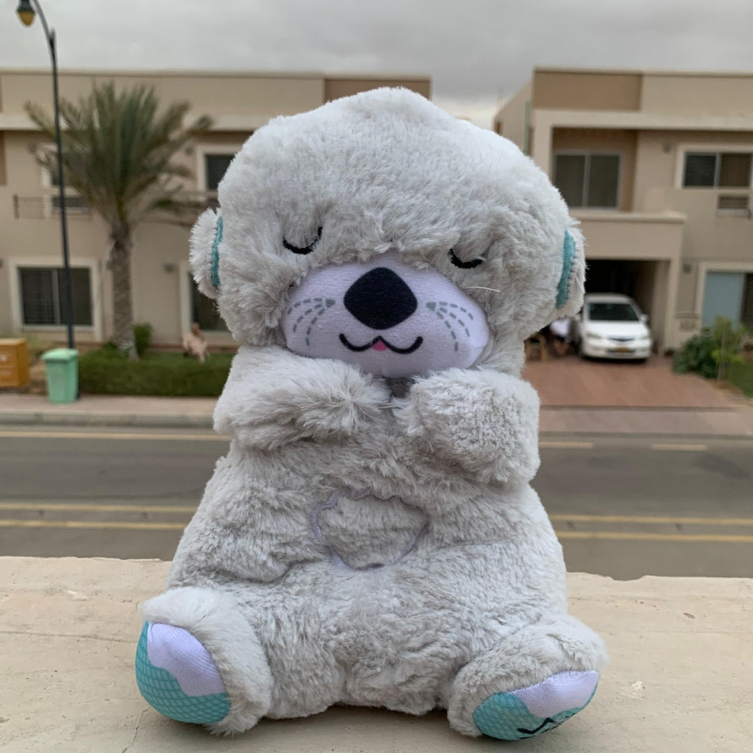 Breathing Teddy bear in Pakistan