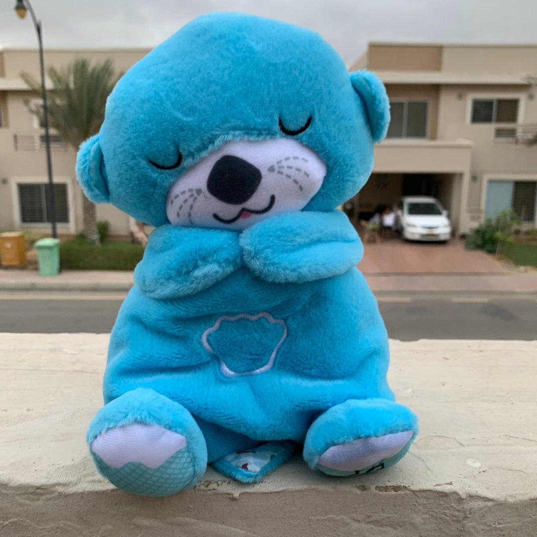 Breathing Teddy bear in Pakistan