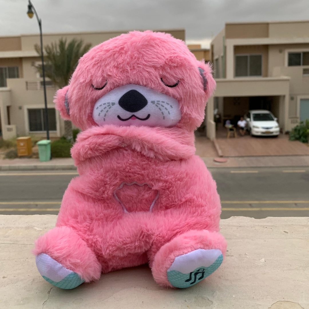 Breathing Teddy bear in Pakistan